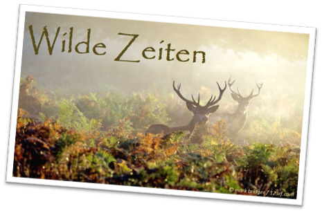 wildezeiten